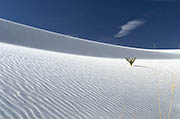 White Sand Dunes - New Mexico